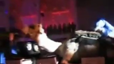شاهد بالفيديو .. هذا ما سببه جمل سكران في كنيسة 34270
