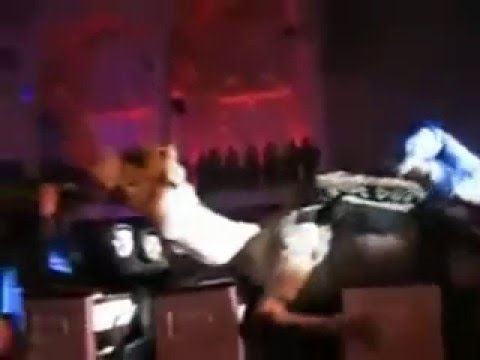 شاهد بالفيديو .. هذا ما سببه جمل سكران في كنيسة 34270