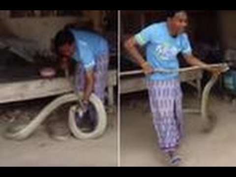 34486