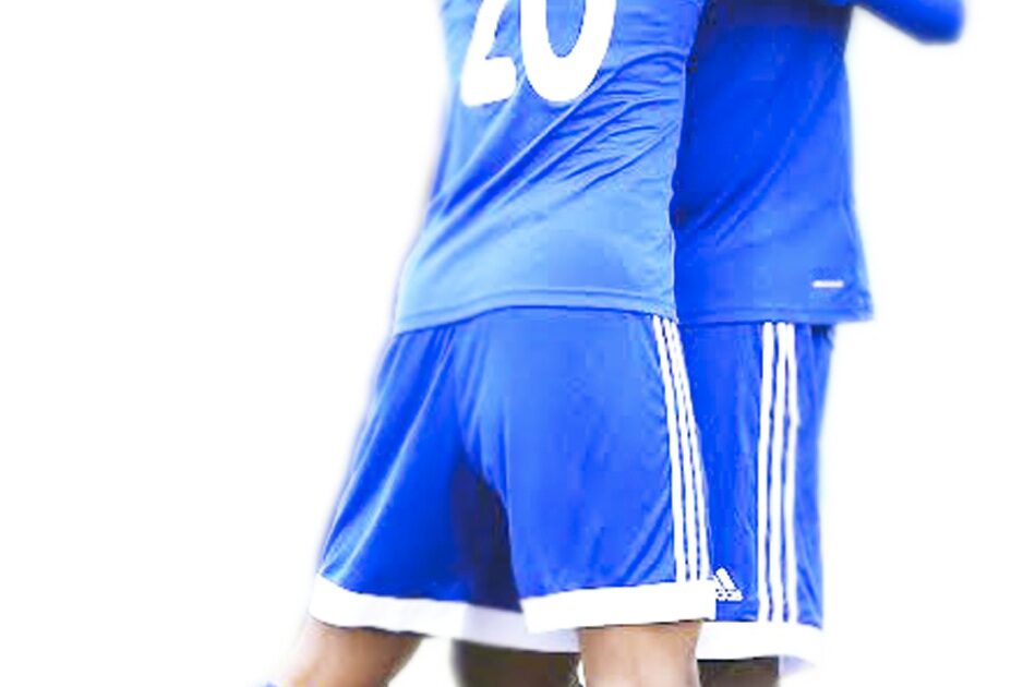 أبيكو.. نيلسون وسيسيه.. ضحايا نكسة الهلال ابيكي