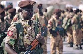 الجيش السوداني رعد الشمال