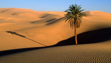 الصحراء