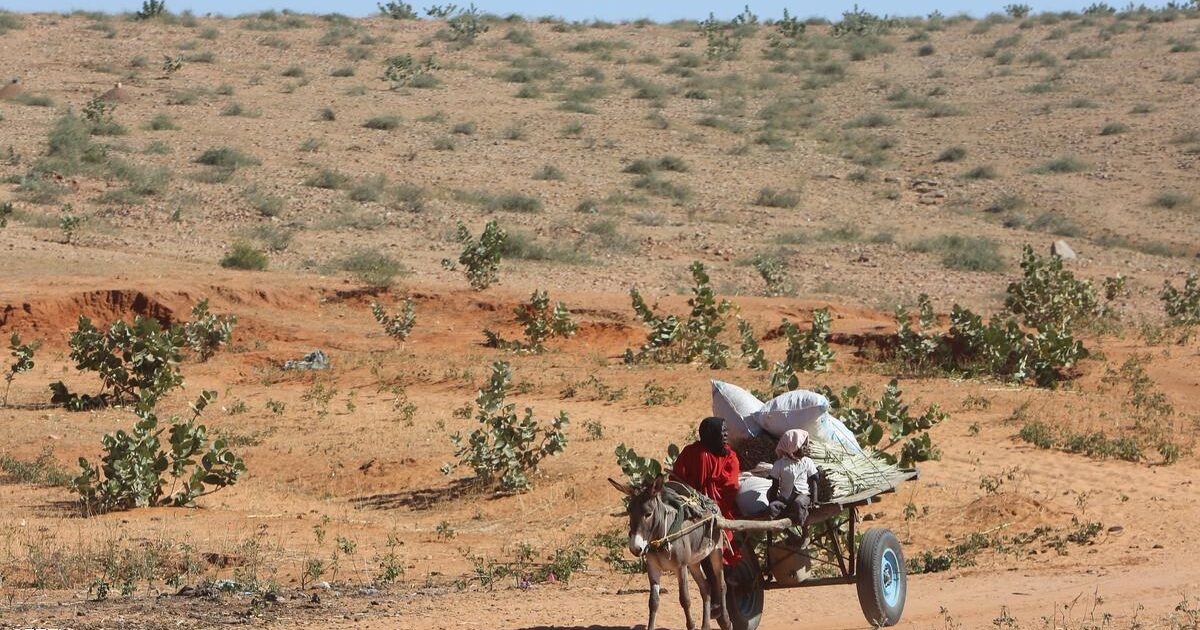 مطالبات للوساطة بتحديد سقف زمني لإستئناف مفاوصات دارفور دار فور