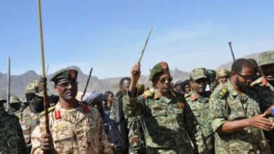 ٍوزير الدفاع يشيد بالانتصارات (المتزامنة) علي المتمردين بجنوب كردفان والنيل الأزرق وزير الدفاع