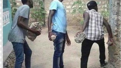 جماهير المريخ