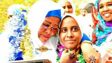 13445235 10208280940653503 8655447422697466050 n