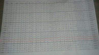 13450852 1168343106560451 4838323764404520520 n