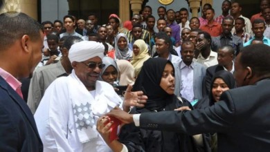 13537601 834761983291128 3113599097863363509 n