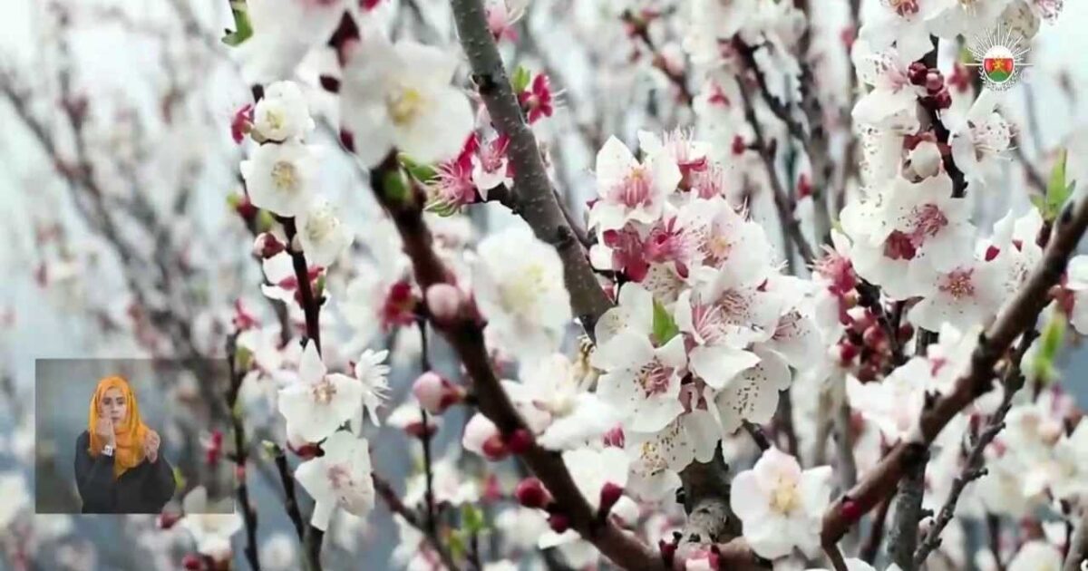 بالفيديو - تعرّفوا على مدينة عربية يصوم أهلها 3 ساعات فقط.. ما رأيكم بقضاء رمضان فيها؟! 37978