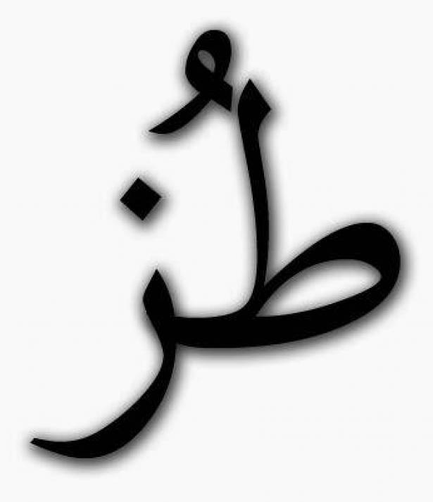 هل سالت نفسك يوما ما معنى كلمه " طز " .. الاجابة صادمة!!! طز
