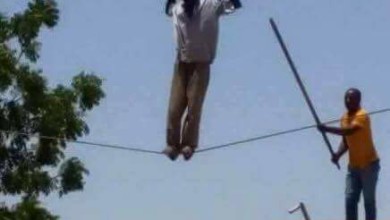 13873023 1000893040025208 41076531793174591 n