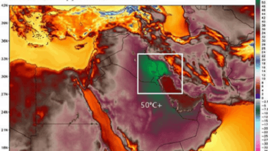 الحرارة استعرت بالكويت وسجلت أعلى درجة على وجه الأرض الكويت - الحرارة استعرت بالكويت وسجلت أعلى درجة على وجه الأرض