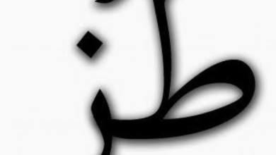 هل سالت نفسك يوما ما معنى كلمه " طز " .. الاجابة صادمة!!! طز - هل سالت نفسك يوما ما معنى كلمه " طز " .. الاجابة صادمة!!!