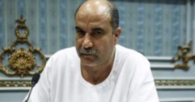 نائب مصري فيضانات السودان وأثيوبيا: تكفى مخزون مصر من المياه لـ3 سنوات نائب برلماني