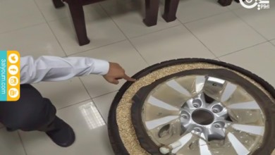 احباط تهريب نصف مليون حبة كبتاجون تهريب - احباط تهريب نصف مليون حبة كبتاجون