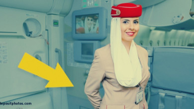 ما هو سر وضع المضيفات أيديهن وراء ظهورهن على متن الطائرة؟ مضيفة - ما هو سر وضع المضيفات أيديهن وراء ظهورهن على متن الطائرة؟
