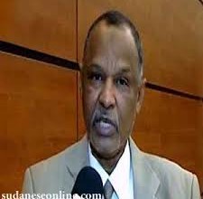 معلومات جديدة حول قضية محمد حاتم وإقالة هارون معلومات - معلومات جديدة حول قضية محمد حاتم وإقالة هارون