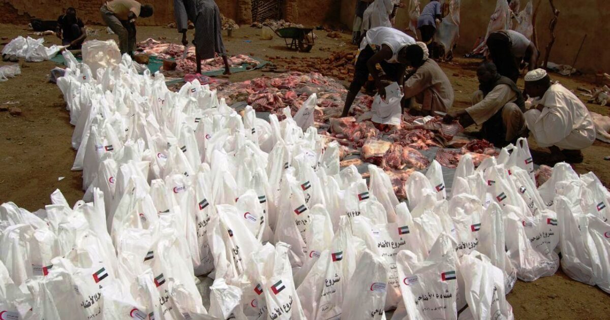 سفارة الامارات توزع الأضاحي على الأسر المحتاجة في السودان 2737274333