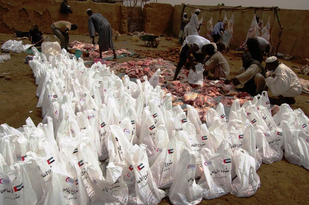 سفارة الامارات توزع الأضاحي على الأسر المحتاجة في السودان 2737274333