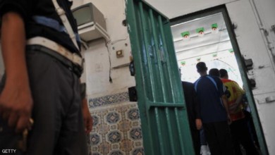 العثور على جثة منزوعة الأحشاء بالنيل الأزرق 1 881900
