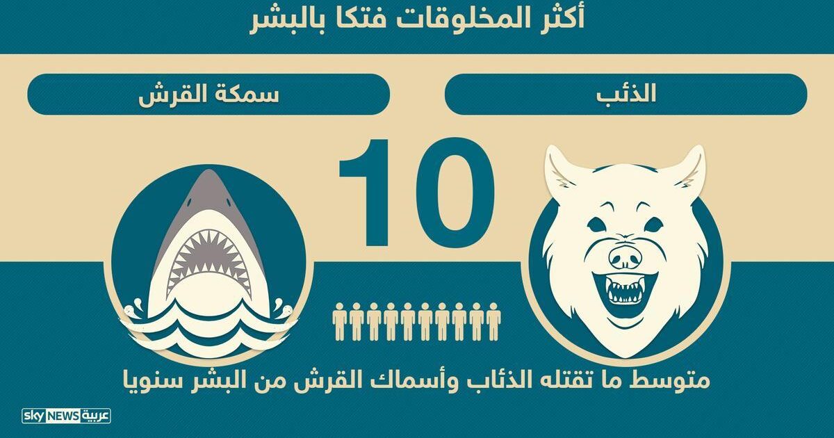 إنفوغرافيك.. الإنسان ثاني أكثر المخلوقات فتكا بالبشر 1 883545