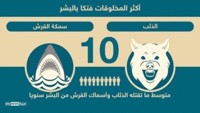 إنفوغرافيك.. الإنسان ثاني أكثر المخلوقات فتكا بالبشر 1 883545 - إنفوغرافيك.. الإنسان ثاني أكثر المخلوقات فتكا بالبشر