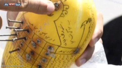 العثور على ثمرة غريبة بطلاسم في الإمارات 1 887939 - العثور على ثمرة غريبة بطلاسم في الإمارات