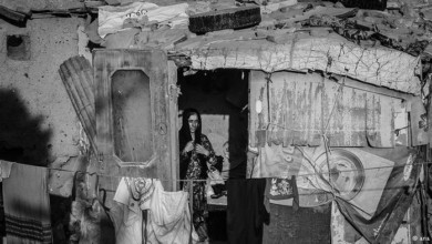 aa7d21e6 5e73 4d06 8487 69ddb4f84791