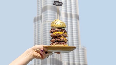 INAF 20170228014117425