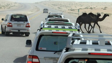 "الجمل الصحراوي".. وحدة القياس الجديدة لسيارات الدفع الرباعي 8000000 - "الجمل الصحراوي".. وحدة القياس الجديدة لسيارات الدفع الرباعي