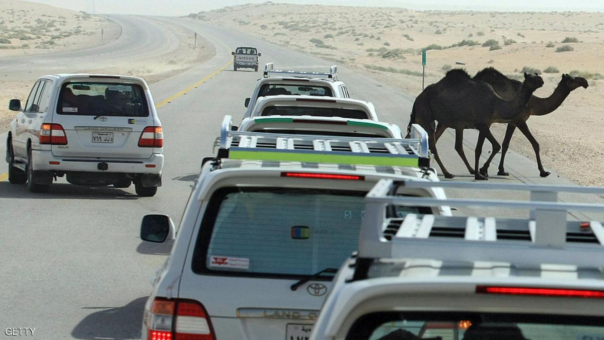 "الجمل الصحراوي".. وحدة القياس الجديدة لسيارات الدفع الرباعي 8000000