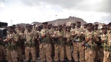 1491989927 التحالف 1 800x500