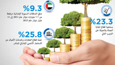 الإمارات أكبر مستثمر عربي في العالم image 1 - الإمارات أكبر مستثمر عربي في العالم