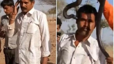 يدفع حياته ثمناً لالتقاط فيديو مع كوبرا imageK022BCSA - يدفع حياته ثمناً لالتقاط فيديو مع كوبرا