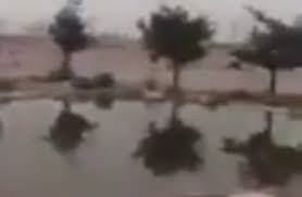 العطلة الصيفية.. الخطر القادم untitled