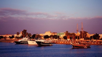 والي البحر الأحمر : ضوابط جديدة لجرافات الصيد 501 - والي البحر الأحمر : ضوابط جديدة لجرافات الصيد