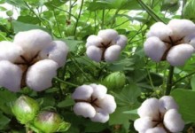 568f91c2c36188cb0e8b4569