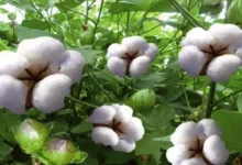 568f91c2c36188cb0e8b4569