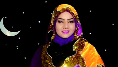 المذيعة "رندا أوشي"..أتمنى محاورة رئيس الوزراء "بكري حسن صالح" وهذا جديدي لرمضان.! ALSAHAFA12 3 2017 373