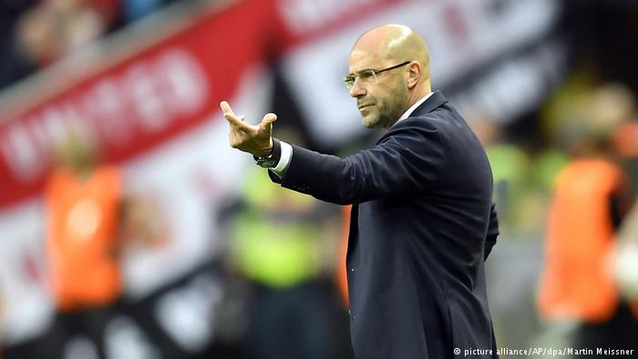 بوس الهولندي