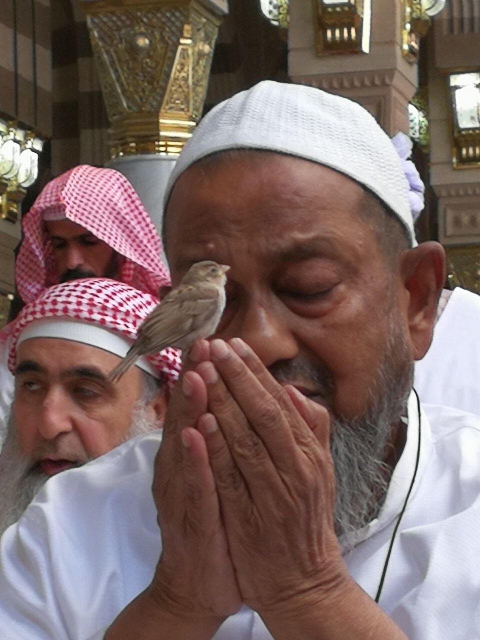 خشوع للرحمن وطير آمن طير