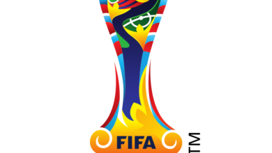 2017 FIFA U 20 World Cup logo.svg