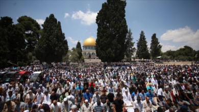 thumbs b c b2374dfe366261413a10df6e2878c285