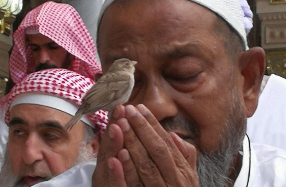 خشوع للرحمن وطير آمن طير