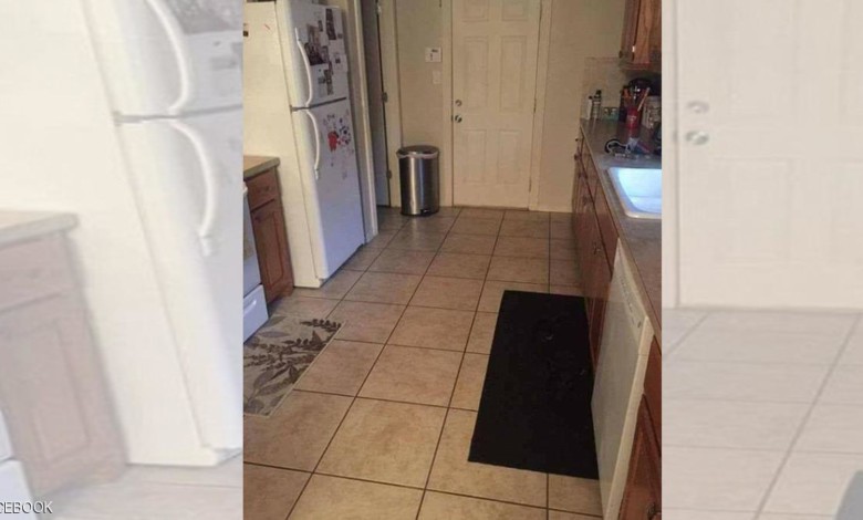 صورة "الكلب الذكي" التي حيرت الكثيرين 971098W