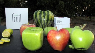 thumbs b2 0c190484250360d7360dc5ba699c5156