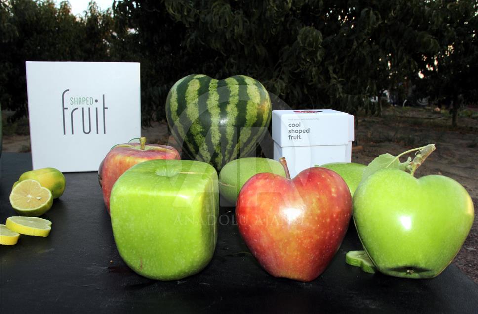 thumbs b2 0c190484250360d7360dc5ba699c5156