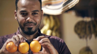 13006636 1544381369200990 6427433015492375540 n