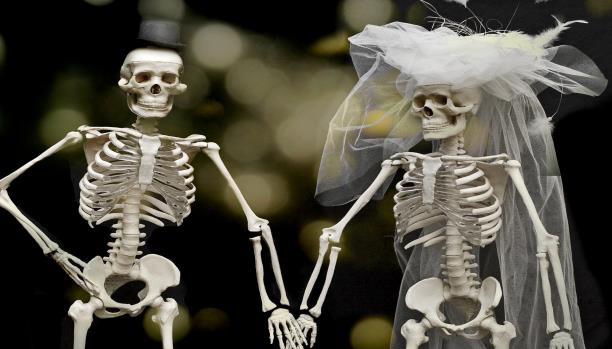 أغرب الزيجات حول العالم... من وسادة وشجرة وغيرها marr