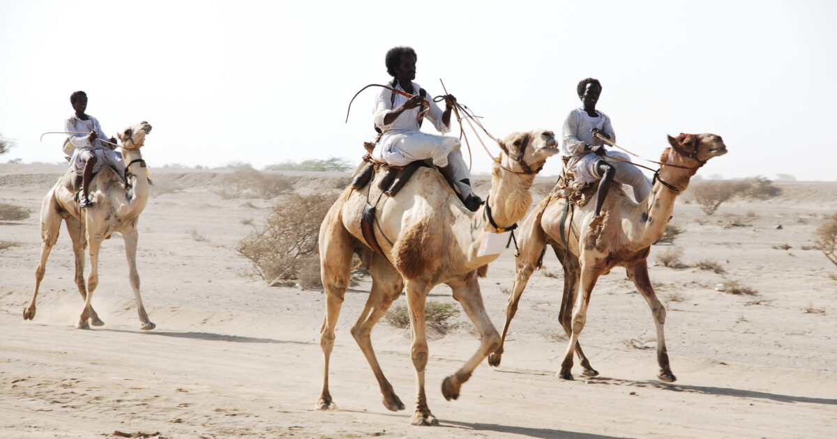 باحث سوداني يقدم رؤية جديدة لإعادة إعمار جزيرة سواكن 34321K